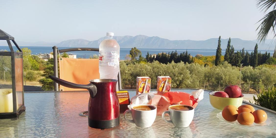 View Διαμερισμα Villa Loukissia Exteriör bild